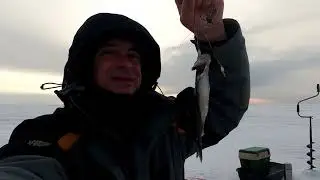 ОБЖА 20 02 24. КОРЮШКА не меньше чем на ФИНСКОМ