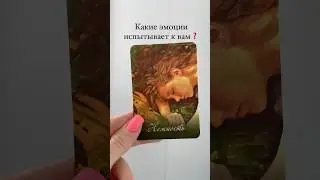 Какие эмоции испытывает к вам❓