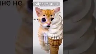 😭😭😭😭😭😭😭