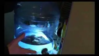 apparat[1].flv