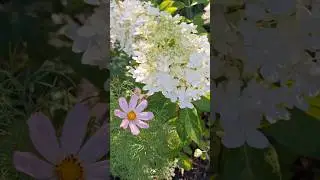 Садок після дощу😍