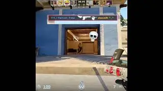 1700 dollar airline #cs2 #csgo