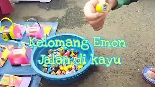 KELOMANG JALAN DI KAYU