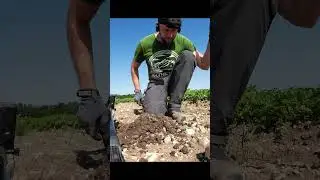 FIBEL #sondeln #metaldetecting #lechsonde