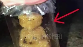 Bagaimanakah Asal Muasal Tuyul