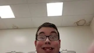 Silly Ant At Work
