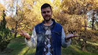 Добро пожаловать!