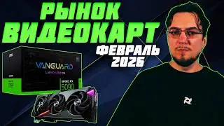 Video Card Market | Winter - February 2026 | Which Video Card to Buy | How to Choose a Video Card