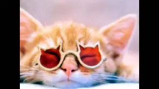 Фото которые можно поставить на аву!