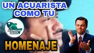 ¡HOMENAJE! A UN ACUARISTA COMO TÚ!