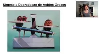 Metabolismo de lipídeos