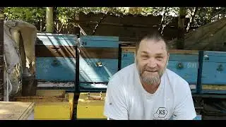 Лысоневский улей, практически год на пасеке