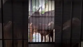 Mother is mother