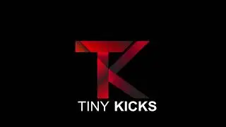 TinyKicks logo linkable for my shopify website (ignore video)