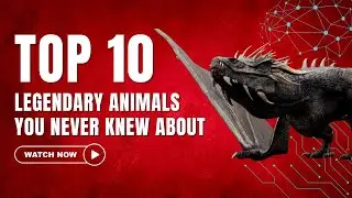 10 Unbelievable Creatures That Will Change How You See Nature! #animals #nature #mysterious #rare