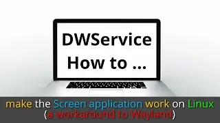 DWService - How to make the Screen application work on Linux (a workaround to Wayland)