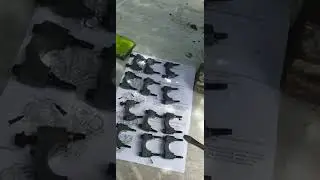 установка цепи грм на ягуар x-type часть 2