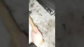 Что делать если застрял в лесу на приоре. Субботний вечер