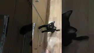 кто мне поставит лайк