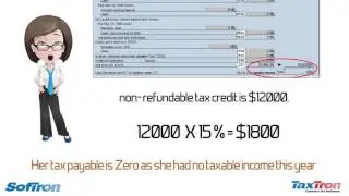 What are non refundable tax credits?