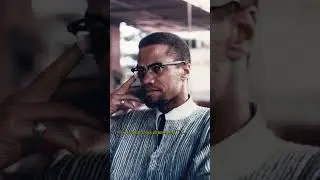 What is Black Ivy?