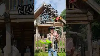 27.07.24г. ЖАРИМ СТЕЙКИ🌱🥩 Мастер класс по приготовлению стейков прямо на ОРГАНИЧЕСКОЙ ФЕРМЕ❗️➕️ 🏖🍹🤠