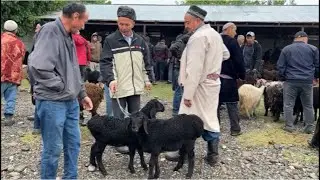 ШАНБЕ БОЗОР РЕГАР НАРХИ МОЛИ МАЙДА КАЛОН НАРХИ БОЗОР 13 мая 2023 г.