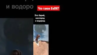 Джоджомем 