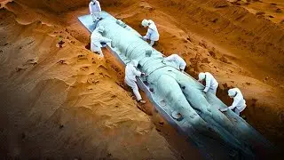 Scientist Reveals Sudden Discovery under the Eye of the Sahara Desert