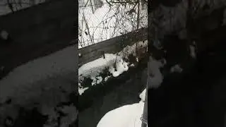 Канализационные стоки в Агое