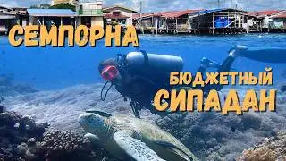 Лучший ДАЙВИНГ в Малайзии, если не хватило денег на СИПАДАН