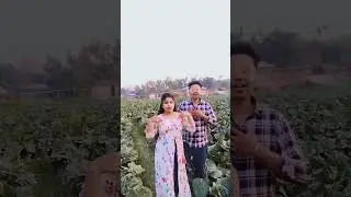 #gulab