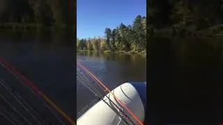Yamaha 30+ Yamaran 390