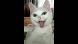 Вызывай наряд водитель не в адеквате 🤣