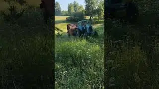 #сенокос #мтз80 #прф-180
