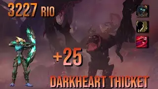 +25 Darkheart Thicket | MM Hunter M+ 3227 IO | 254K DPS | WoW Dragonflight 10.2.5