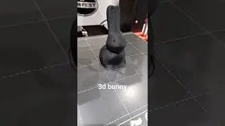 3d bunny 