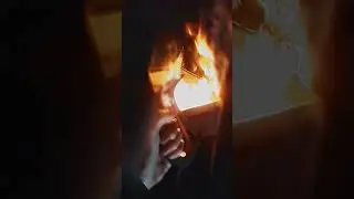 Нашел инопланетный бластер! Выбрался повыживать в дичайшую природу. (второй отрывок из 1-й части).
