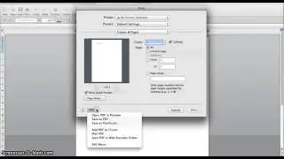 Word doc a PDF