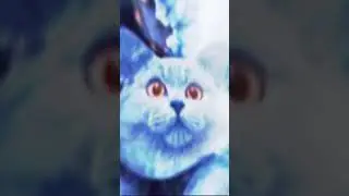Blue Smurf cat edit #bluesmurfcat