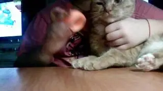 Няня рыжика ожидание и реальность 2 часть
