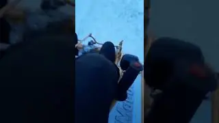 ОтМорозок, чайку попили, вези обратно...