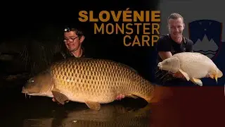 Slovénie, paradis des carpes ? 🇸🇮