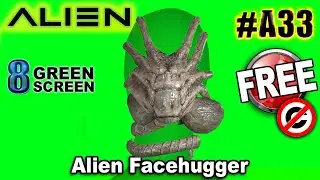 Alien Facehugger Green Screen 3D