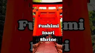 Fushimi Inari Shrine ⛩️#fushimiinari #tori #kyoto #kyotojapan #kyototrip #family #vlog #japan #short
