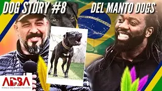 DEL MANTO : Ma femme et moi on dédie notre vie à ces chiens depuis 21 ans