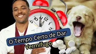 Dewormer for dogs. Puppy deworming schedule.