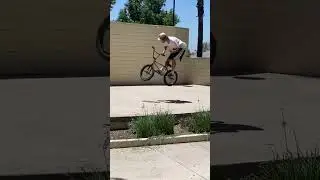 Bmx street