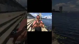 #рыбалка #сезон2023 #рыболовныйсезон #щука #лещ #плотва #fishing2023 #спорт #хобби трофей
