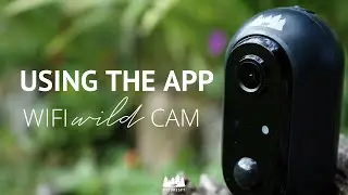 Using the WiFi WildCam app